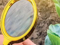 CSIRO warns on biosecurity insecurity