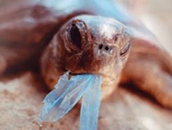 New strategy to cut plastic pollution