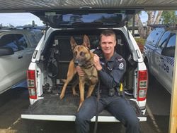 Police dogs get paws around police work