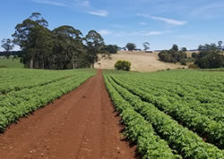 Local farmers in town to shake climate tree