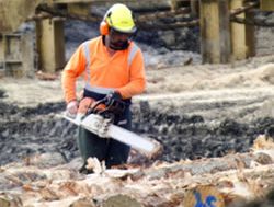 Workplace death data going down