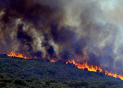 Aerial bush fire checks take off