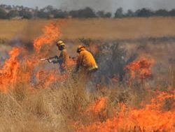 Services warn on summer grass fires