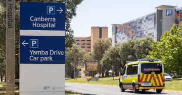 CHS facing work stoppages and bans as doctors vote on proposed industrial action