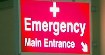 Hospitals to test for family violence