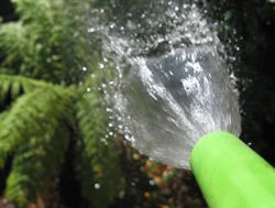 Water wise guidelines to replace restrictions