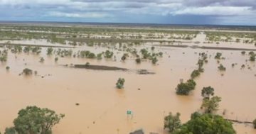 DAF blows weather whistle as La Niña nears