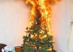 Energex heats up warning on Christmas lighting