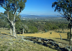 New nature reserve coming to Kenny