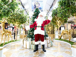 Call for locals to shop local this year