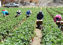 New national plan to abolish slavery