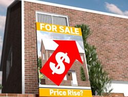 Virus to have minimal effect on house prices
