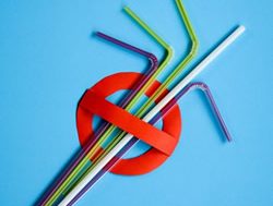 Suck it all up: Plastic straws on the way out