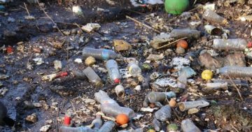 Picture perfect: using AI to build an automatic litter detection system