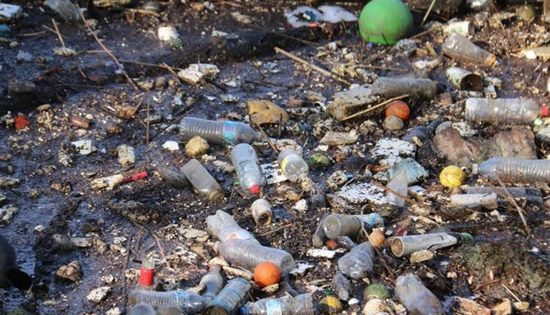 Picture perfect: using AI to build an automatic litter detection system
