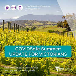 Summer plan in place for COVID-safety