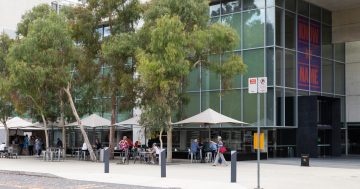 Artists appointed to National Gallery of Australia Council