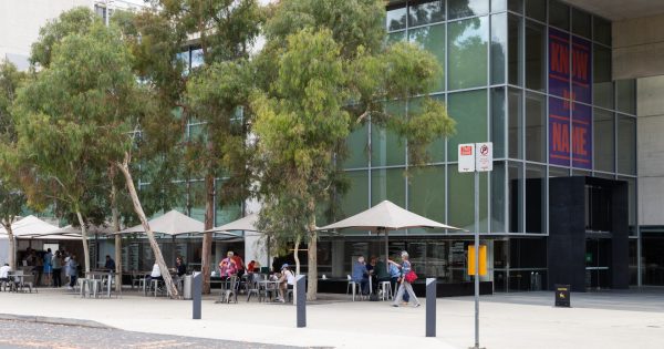 Artists appointed to National Gallery of Australia Council