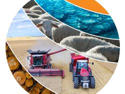 New farms database planting seeds