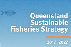 New fisheries strategy fishing for comment