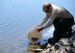 New fish make splash in Ginninderra