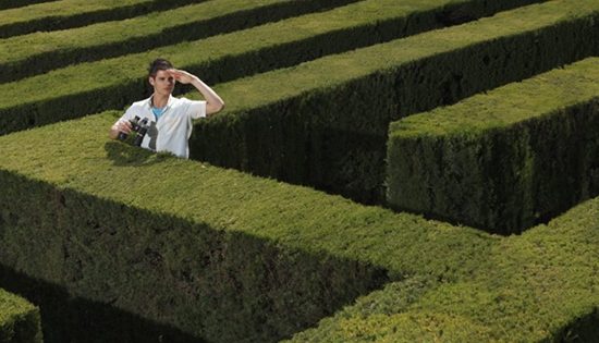 Be prepared: Moving beyond a career plateau