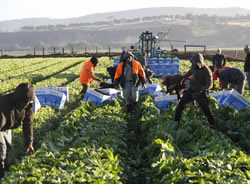 Interstate deal struck for seasonal workers