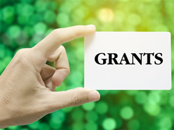 Auditor finds grants not on the money