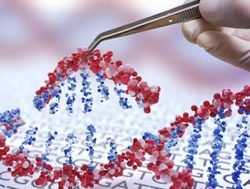 Tackling genetic diseases: CRISPR may hold the answers