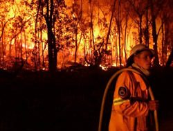 Consumer watchdog hot on bushfire frauds