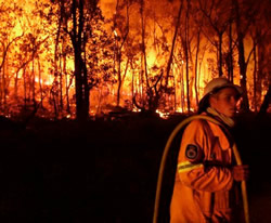 Consumer watchdog hot on bushfire frauds