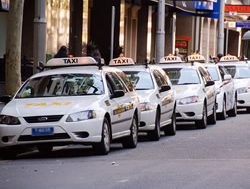 Taxi study finds a year of rough rides