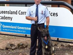 Corrections dog takes highway to Heaven