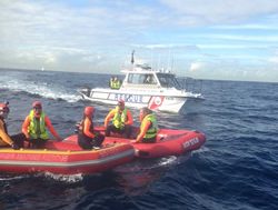 NPWS practices for a whale of a rescue