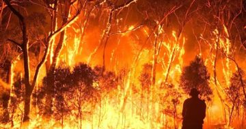 ACT warms to Royal Commission findings
