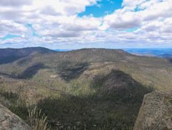 Namadgi bounces back after bushfires