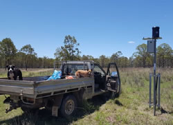 Farmers tap into hi-tech rain gauges