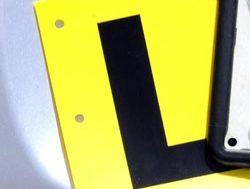 Learner drivers to learn online