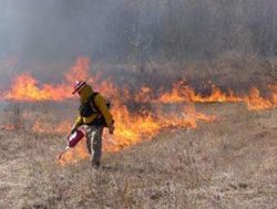 Bushfire video focuses on safety