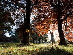 Week-long festival grows on trees