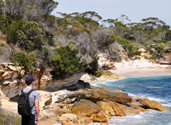 Royal National Park to get new crown