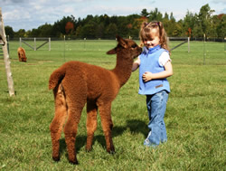 Tourists urged to taste life on the farm