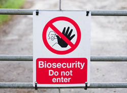 New roadmap charts path to biosecurity