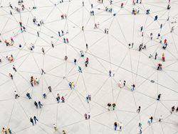How to spot the network effect