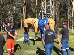 Ambulance gets green light for horse rescues