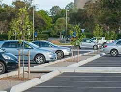 Parked car shades to grow on trees