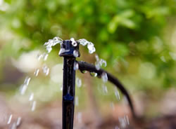 Householders urged to take last lap of water