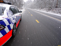 Thin blue lines at home in the snow