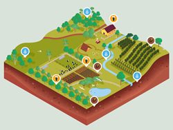 Online lessons sow seeds for future farmers