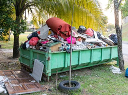 Consumers warned to skip bin service